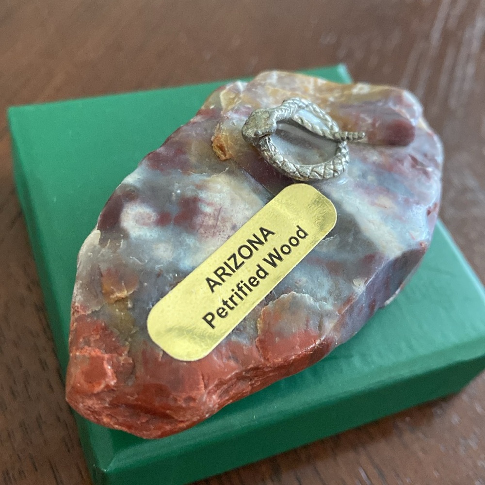 Petrified Wood with Snake